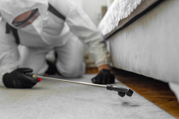 Professional Ant Control technician working in Marlene Village, OR