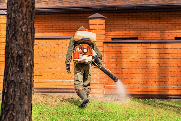Trusted Cockroach Control service in Marlene Village, OR - Nex Pest Control